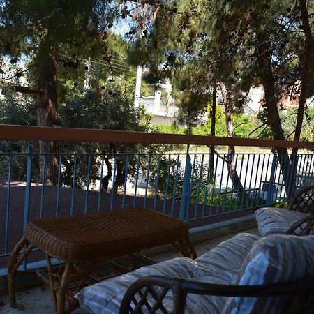 Spacious Apartment With Balconies, Ac, King Bed, Near Dt And Transports Athen Exterior foto